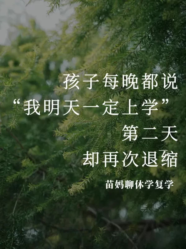 孩子每晚都说“我明天一定会去上学的”，第二天却再次退缩