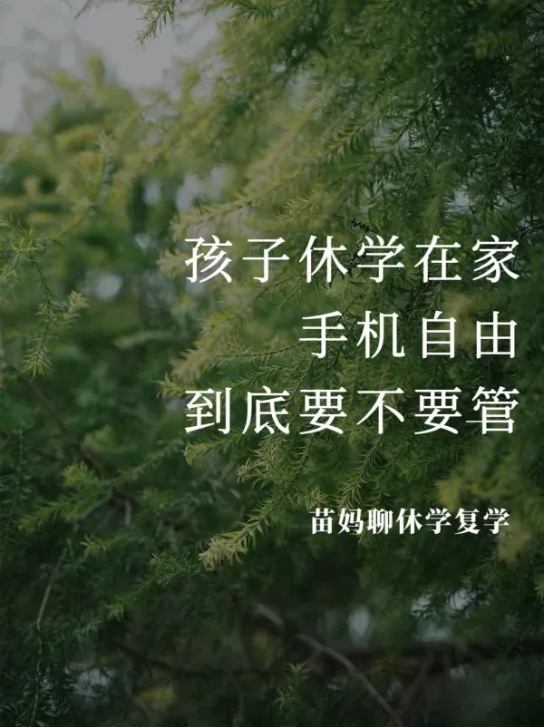 孩子休学在家，手机自由到底要不要管？